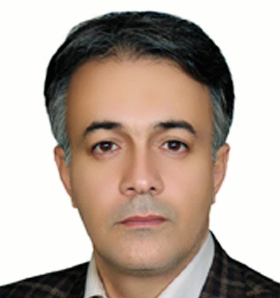 Reza Behjatmanesh-Ardakani